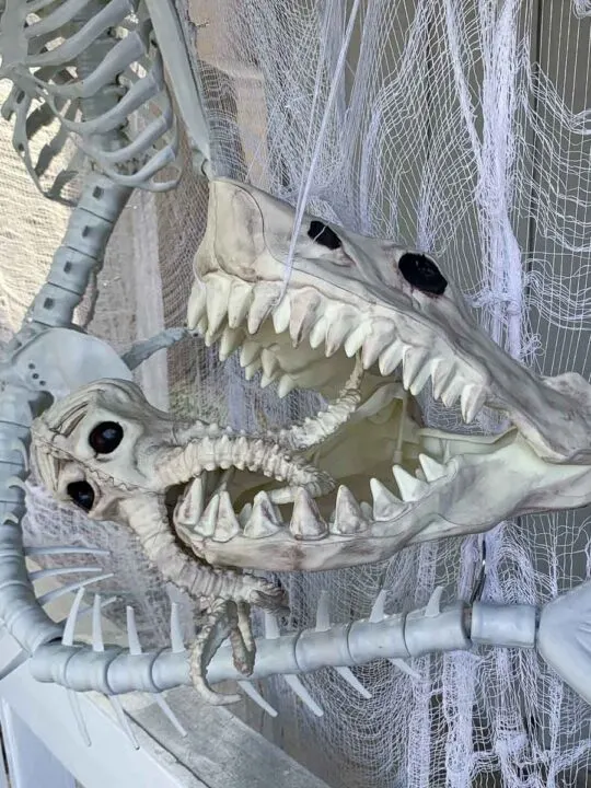 Skeleton shark jaws chomping on a kraken
